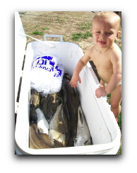 Cod Haddock Fishing Charters - Green Harbor Marina, Massachusetts